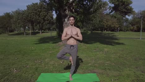 slim young man doing yoga in the park on the green mat, male yogi performs yoga stretching namaste in nature