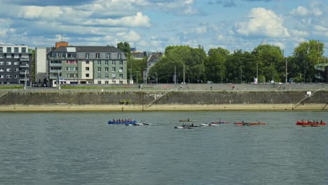 Menschen-Rennen-In-Kanus-Auf-Dem-Rhein