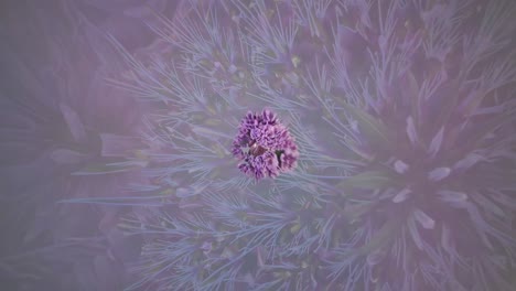 heart surrounded by flowers