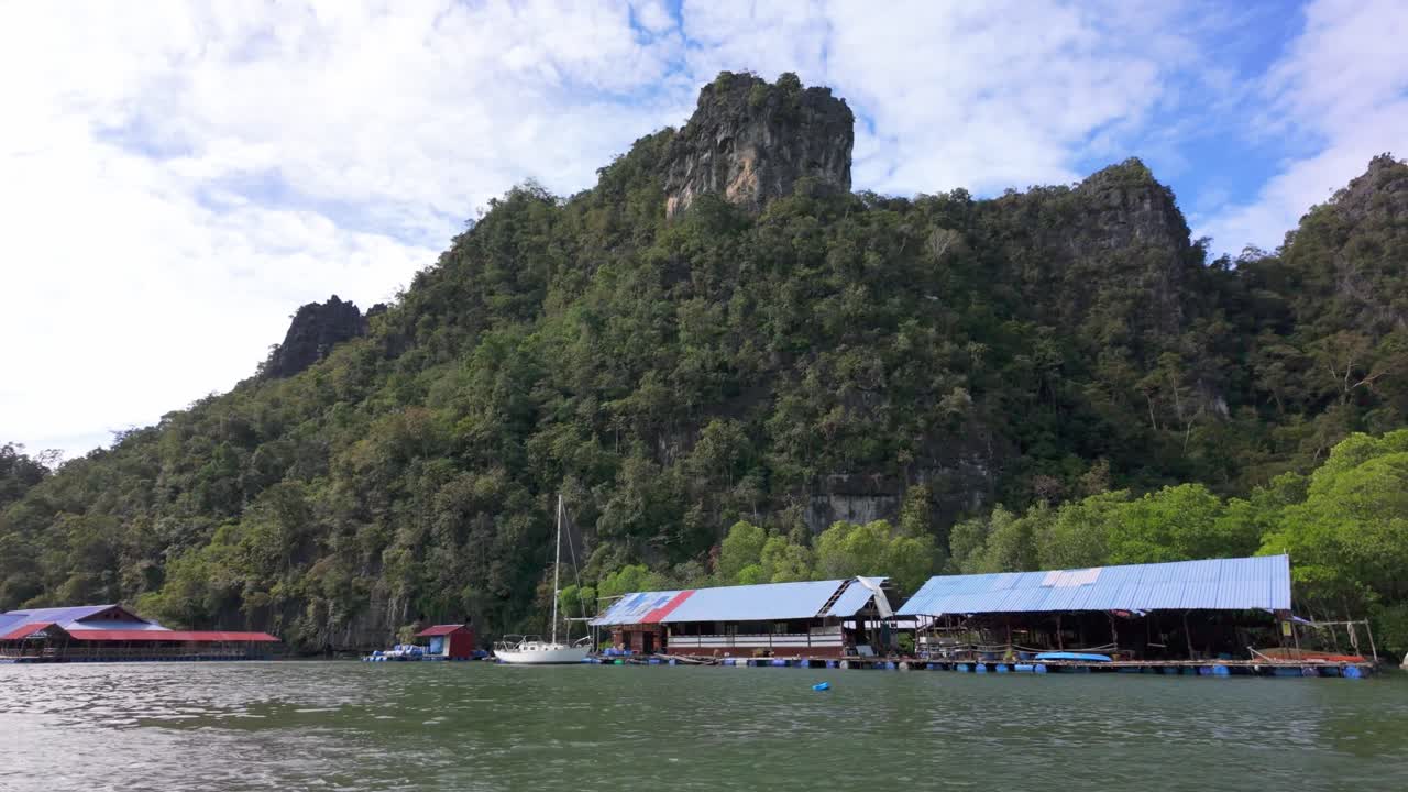 지오 숲의 평온한 아름다움을 탐구하십시오.