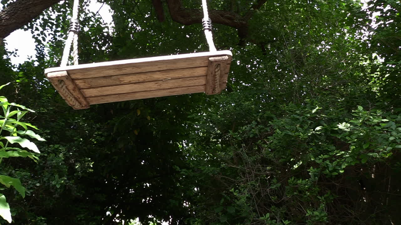 바람에 부드럽게 움직이는 빈 나무 그네, 낮은 각도