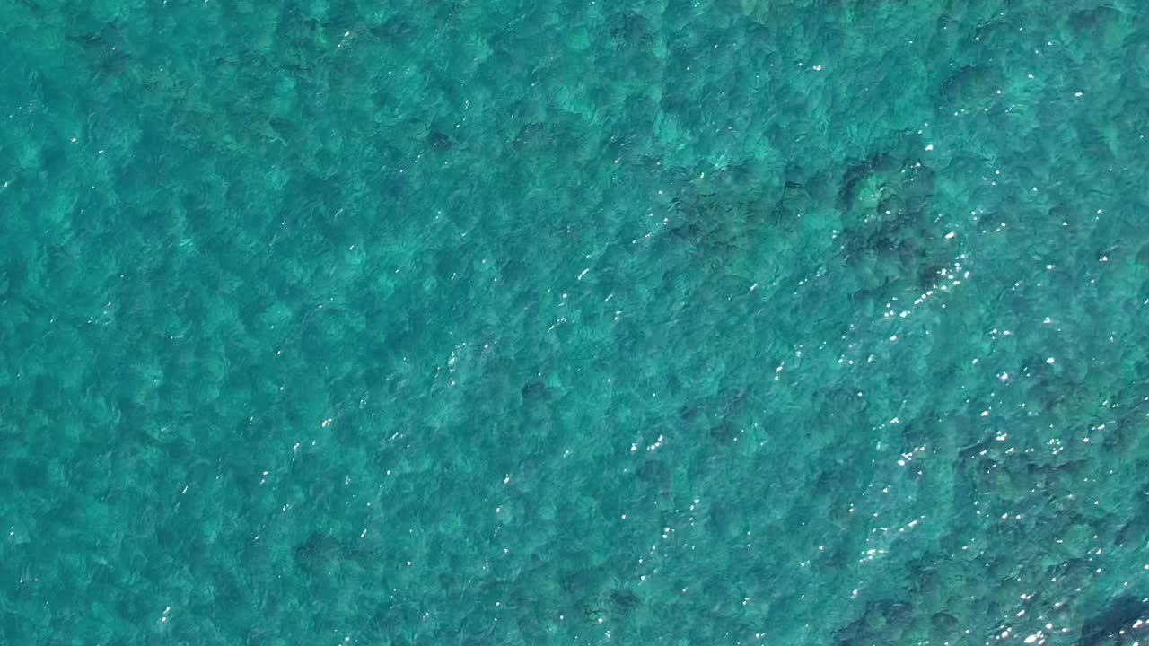 Aerial view of crystal clear waters in Greece showcasing rich marine life