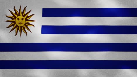 la densa tela de la bandera uruguaya se agita, el bucle de fondo