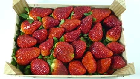 a top view of a hand picking up a strawberry from a box of strawberries