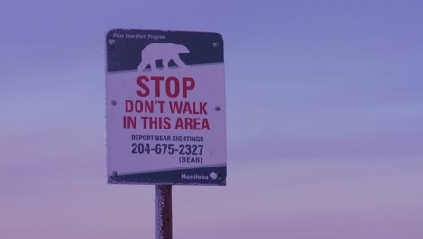 un cartel advierte que los osos polares están en las cercanías 1