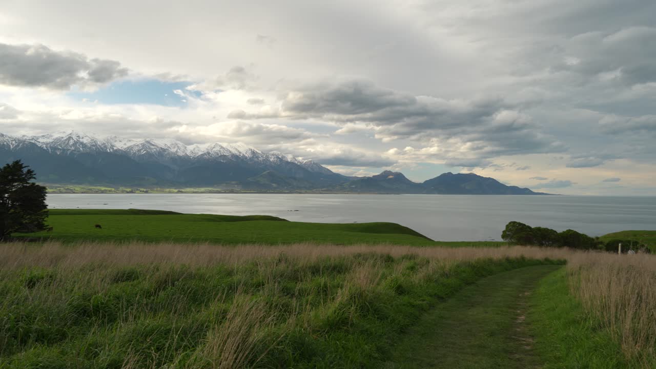 Mountains rise beside ocean waters at Kaikoura where the Southern Alps meet the sea, New Zealand across grassy plains