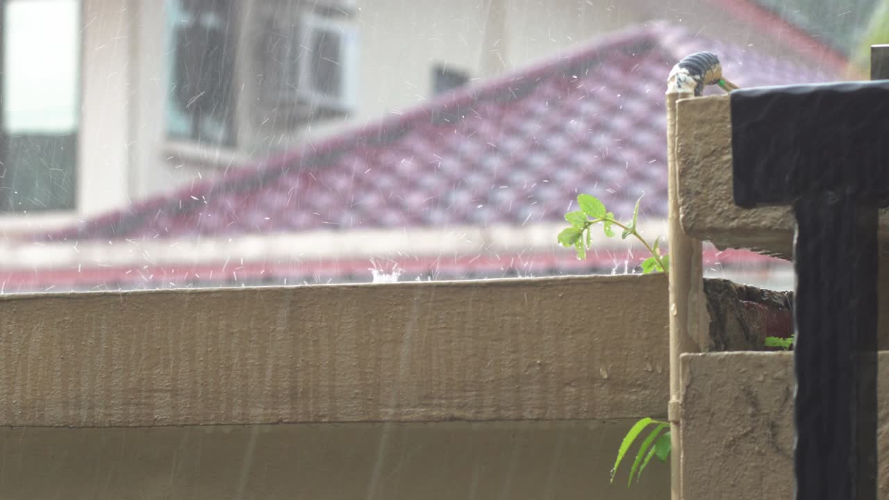 4k 영상으로 열대 방울이 떨어지는 장면