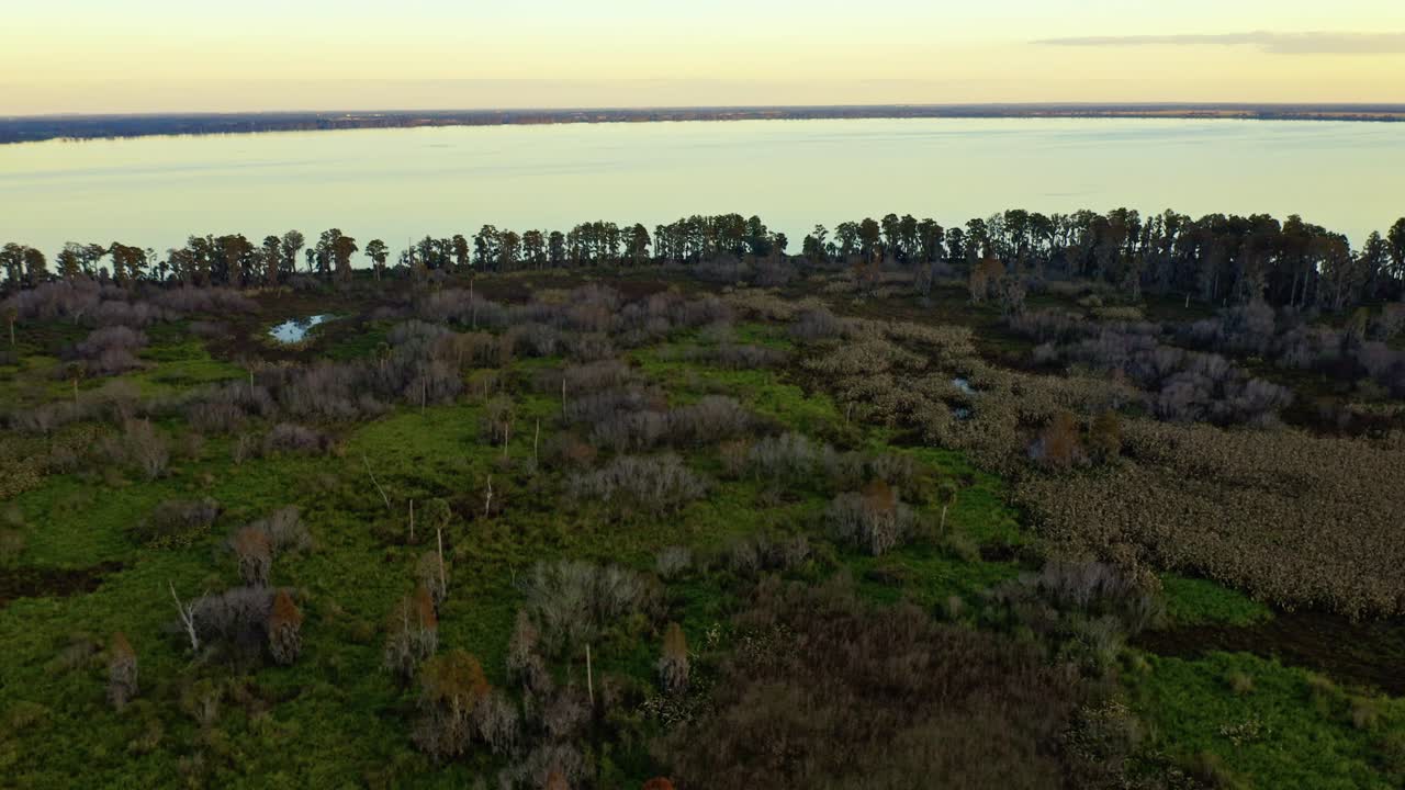 Lago Hancock delimitato da fitti alberi e zone umide. Cattura l'ampio paesaggio naturale. Adatto per documentari ambientali o progetti di conservazione