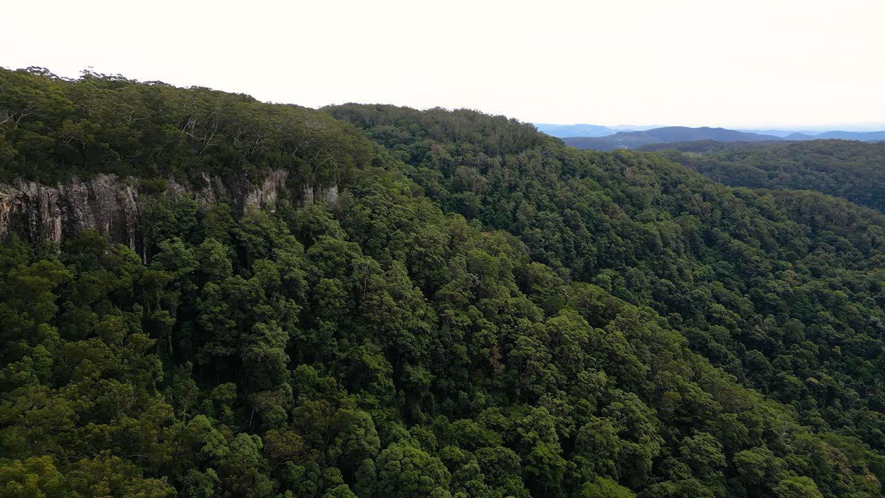vista aérea en movimiento hacia adelante sobre la sección superior de las cataratas gemelas caminar en el parque nacional de springbrook, gold coast hinterland, queensland, australia