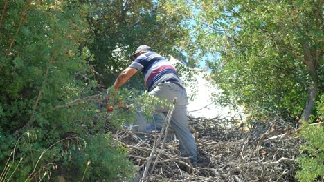 Hombre-Cortando-Madera-Con-Motosierra-Campo