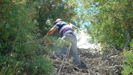 Man cutting wood with chainsaw countryside