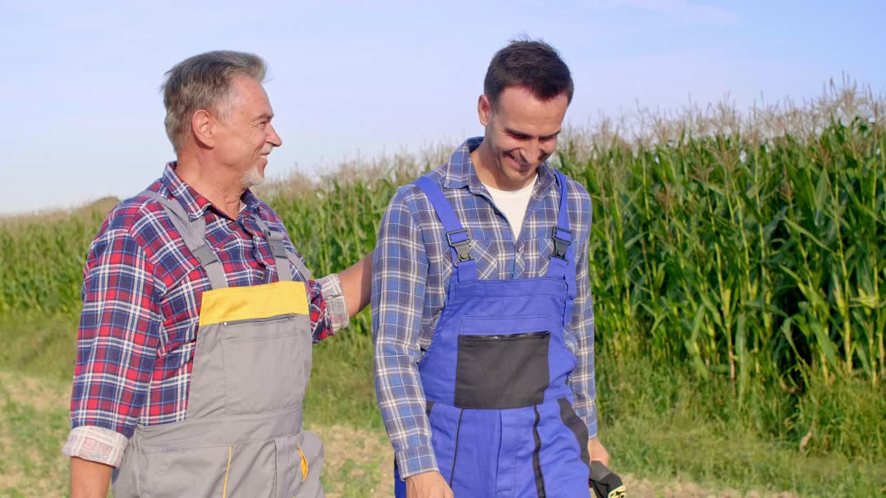 Due allegri agricoltori che camminano attraverso il campo di mais.