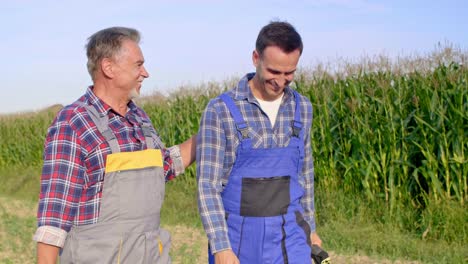 dos agricultores alegres caminando a través del campo de maíz