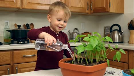 smiling toddler boy watering multiple young plants in a pot