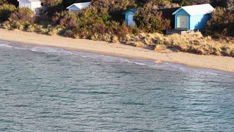drone pans along sandy shoreline, colorful bathing boxes, coastal vegetation, and gentle evening sunlight