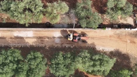 imagen aérea de arriba hacia abajo siguiendo un tractor que está rociando producto en olivos en una granja en el sur de italia