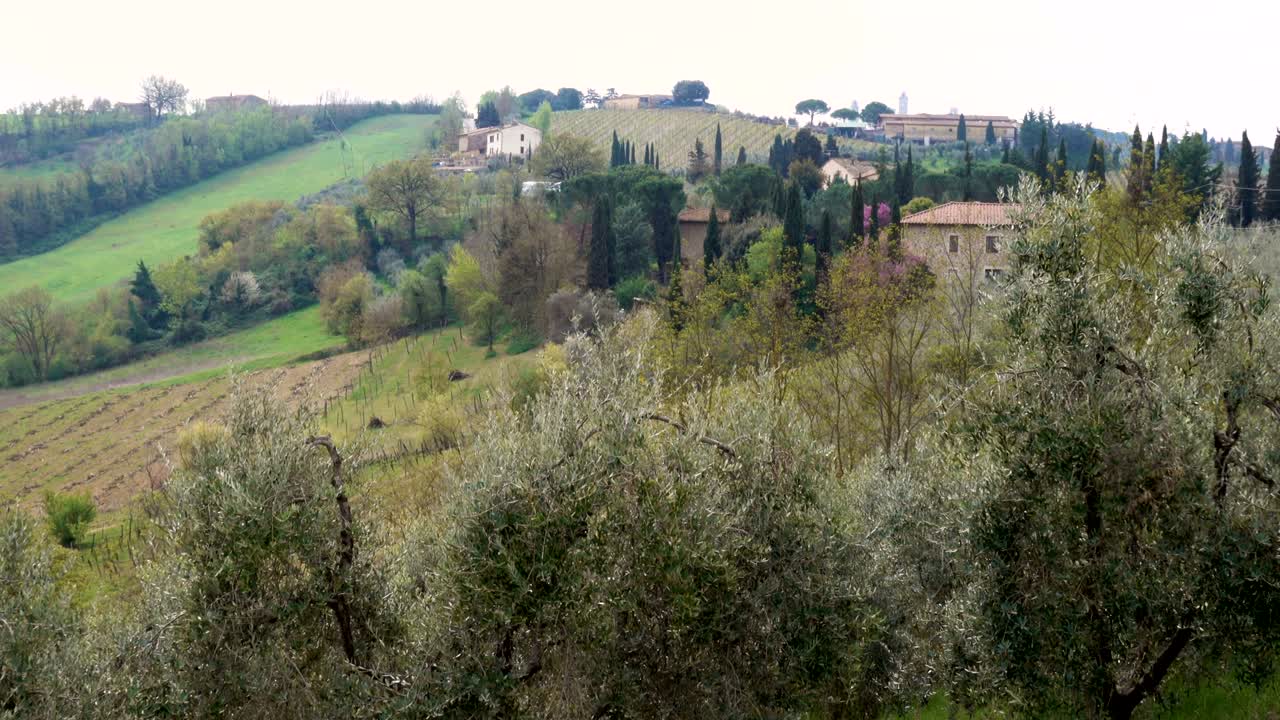 paisaje típico de la toscana con las hermosas colinas verdes