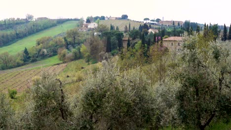 typical tuscanian landscape with the beautiful green hills