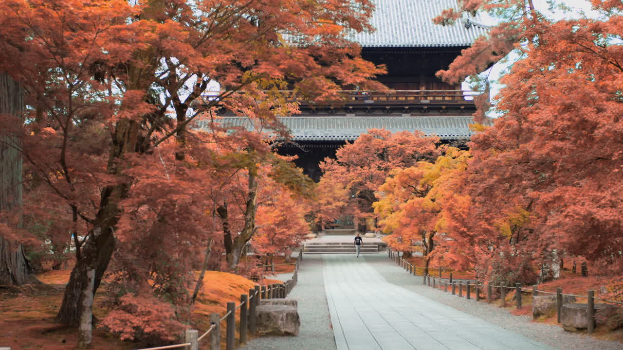 tipo caminando desde un gran santuario a través de las hojas naranjas de otoño en kyoto, japón iluminación suave