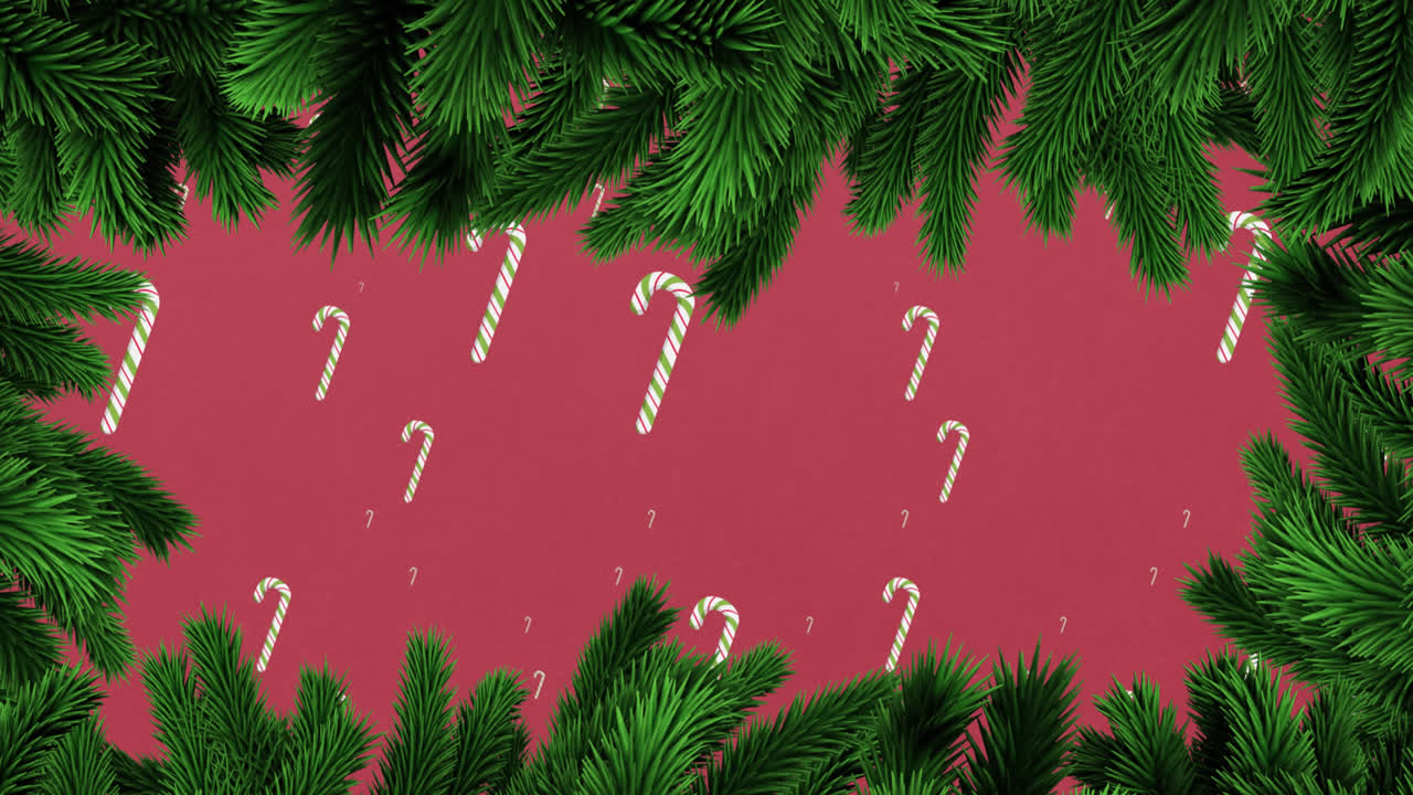 animación de ramas de abeto sobre caídas de cañas de caramelo