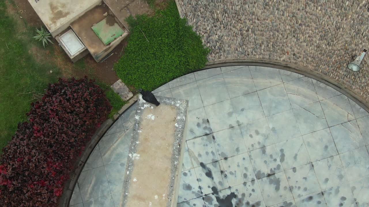 A round structure surrounded by greenery in miraflores, lima, peru, aerial view