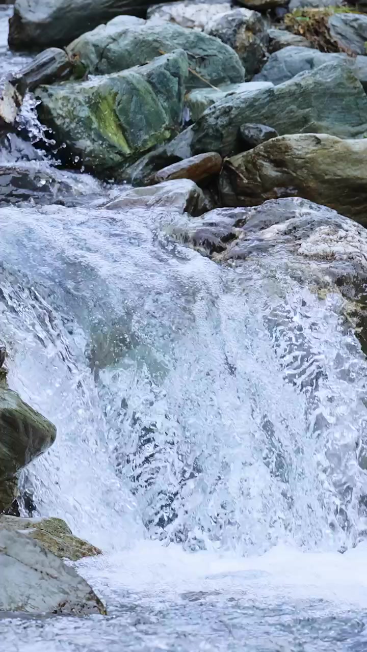 Acqua limpida di un ruscello di montagna scorre impetuosa su grandi rocce muschiose alla luce del giorno, ripresa con una telecamera stabile e un'illuminazione naturale e soffusa per un'atmosfera tranquilla.