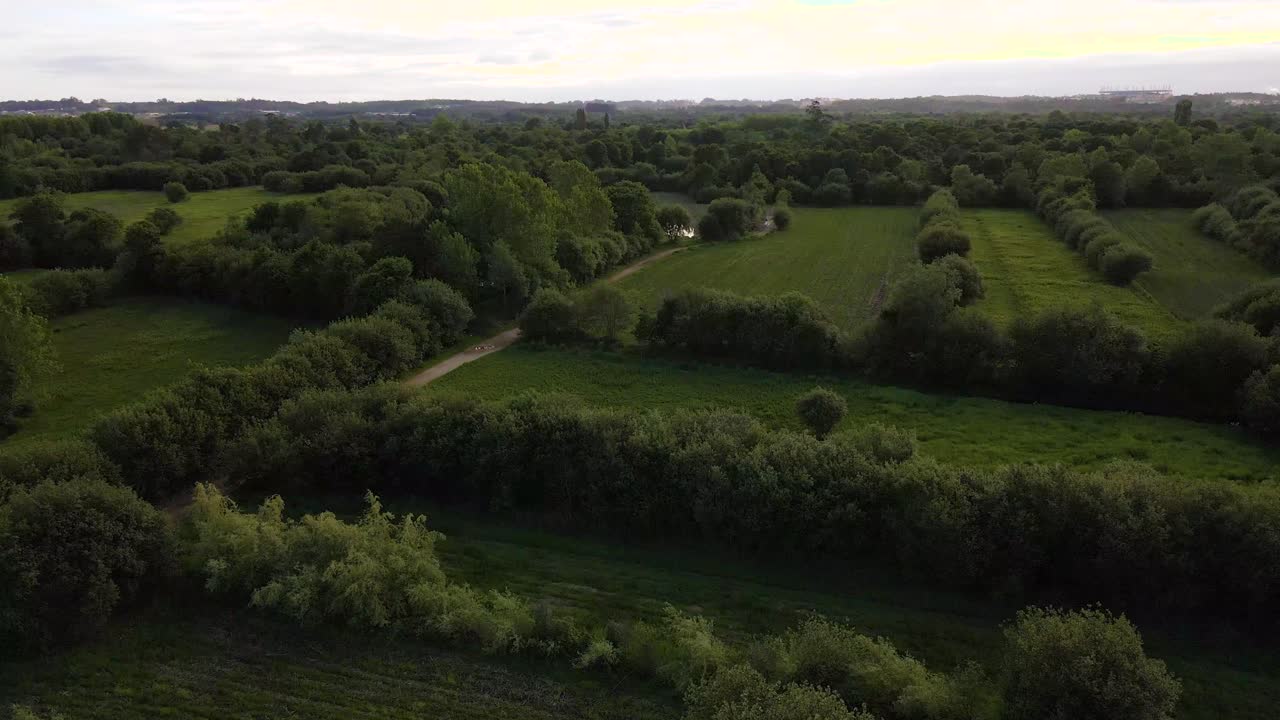 vista aérea de 4k del sistema de lagunas de pateira de frossos en albergaria-a-velha, drone volando sobre una amplia gama de campos agrícolas y vegetación, 60fps