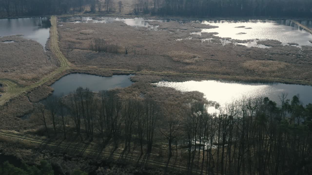 Aerial View of a Serene Wetland