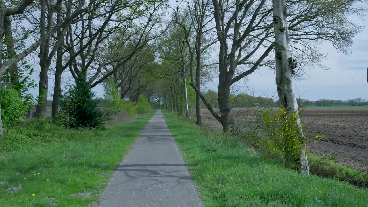 Pista ciclabile pavimentata vuota alberata in un paesaggio rurale