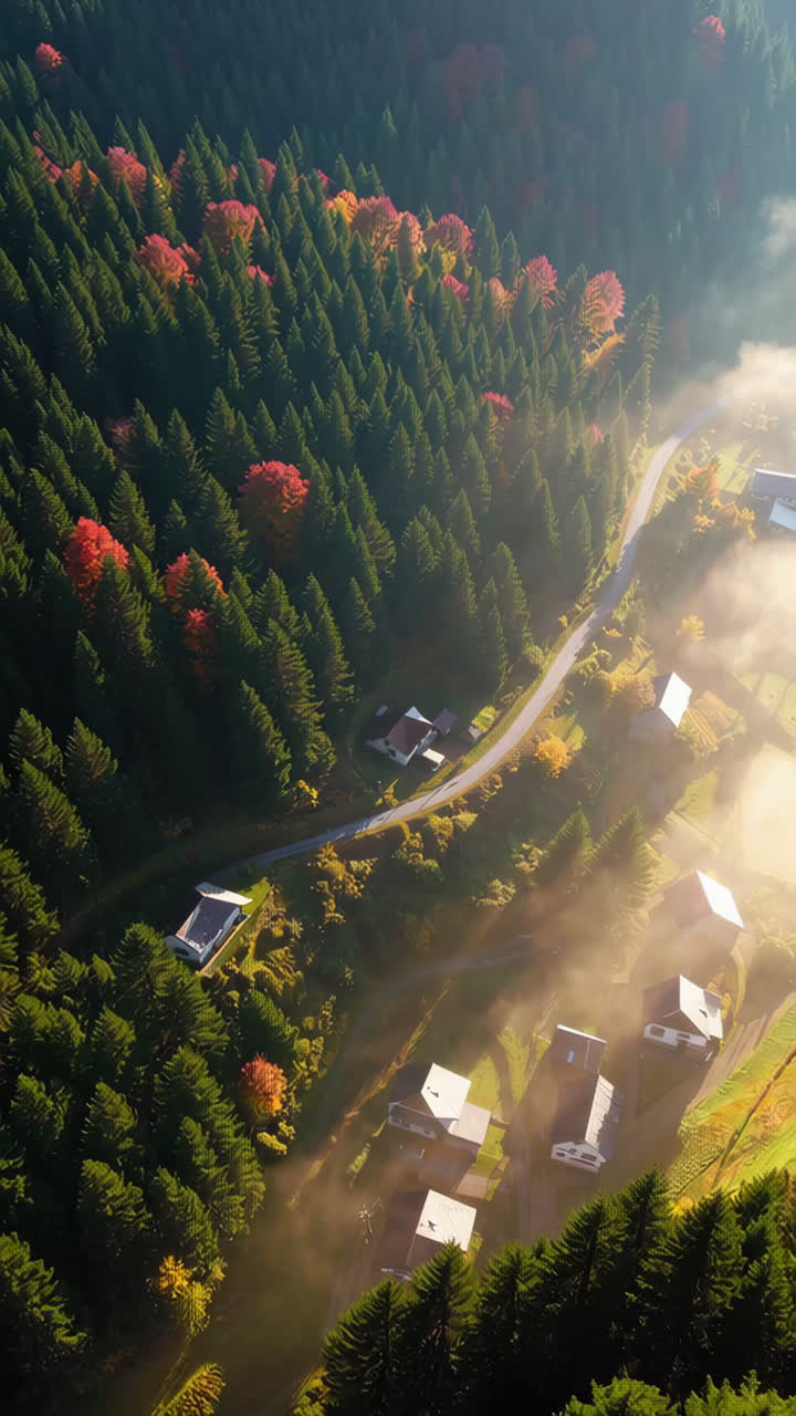Luftfoto af tåget efterårsskov med huse og vej