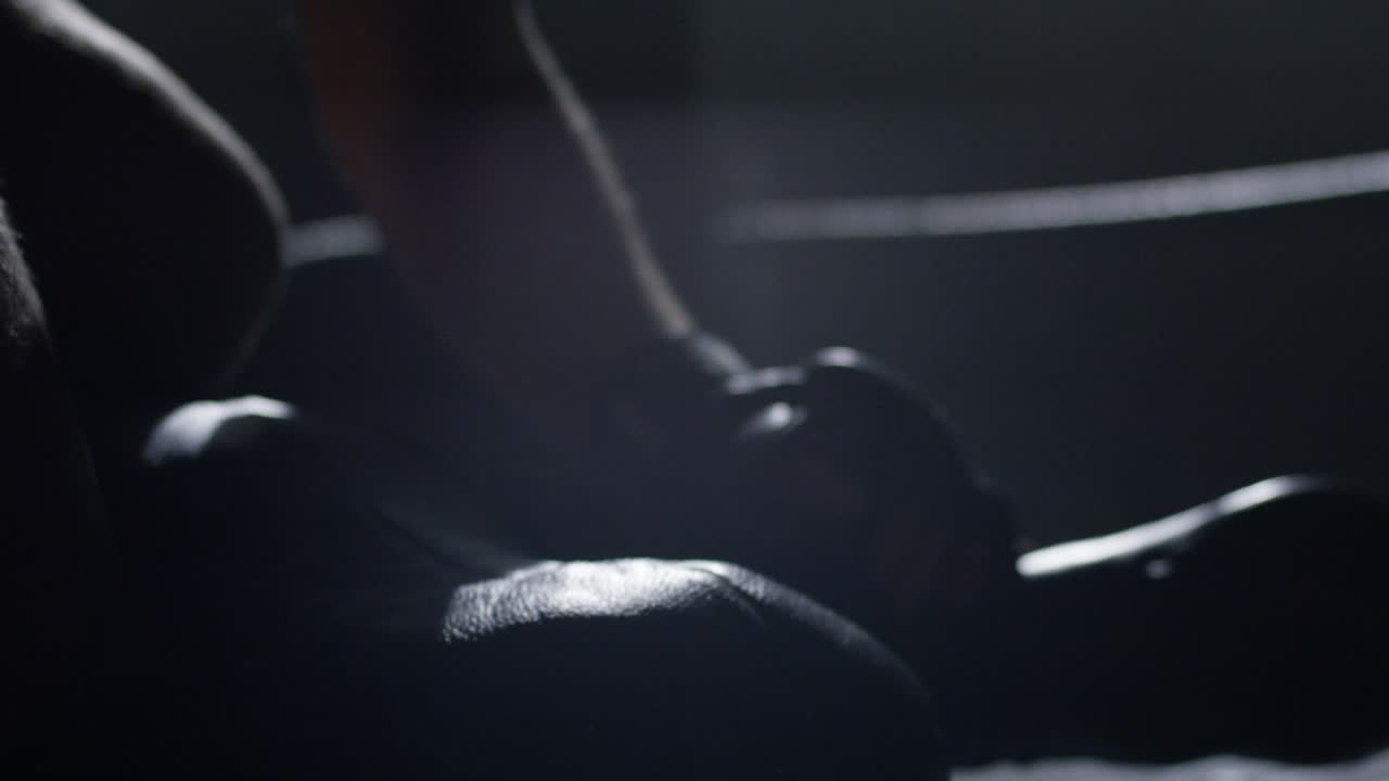 Boxer sul ring