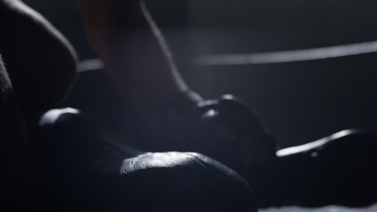 Boxer sul ring