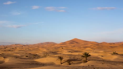 desierto de merzouga 10