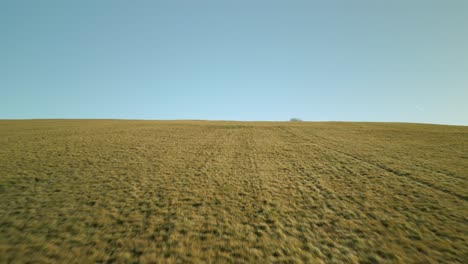 flying upward close to a grassy hill on a sunny day