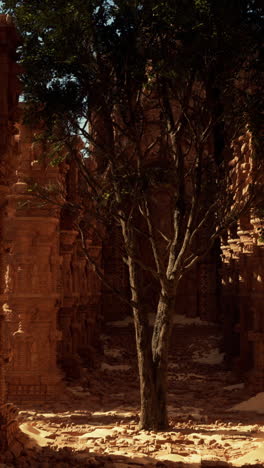 antiguas ruinas en el desierto: un árbol solitario se encuentra en medio de las piedras