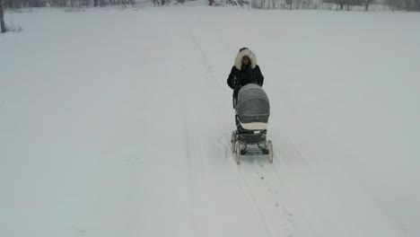 female with baby carriage walk through winter snowfall on countryside road