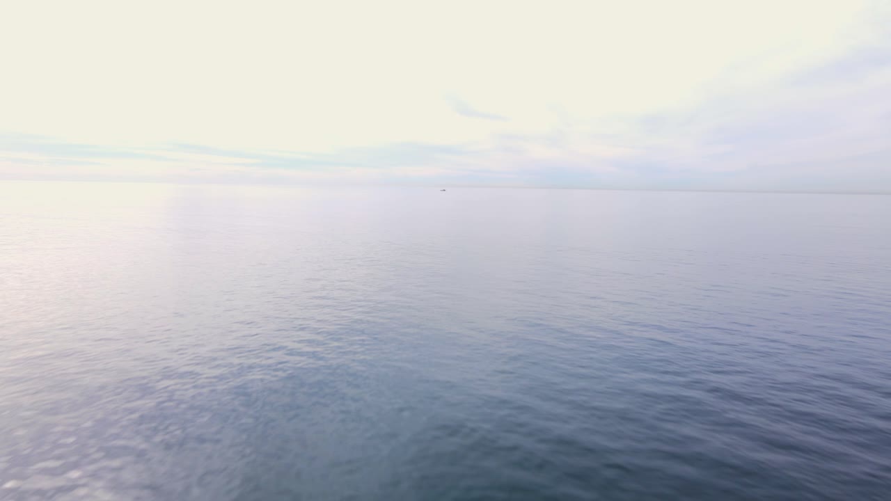 물속으로 낮게 날다