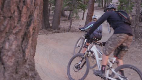 the camera pans around a tree trunk to reveal two mountain bikers riding on a dirt path in a forest