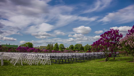 wonderful outdoor wedding location with chairs and lilac blossom