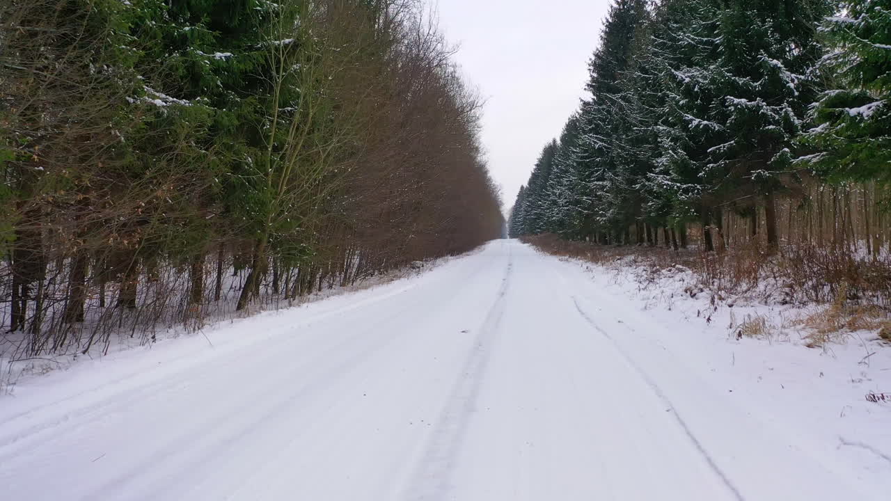 Straight road covered with snow in the forest. Nature scenery along long road in winter season. Camera rising up.