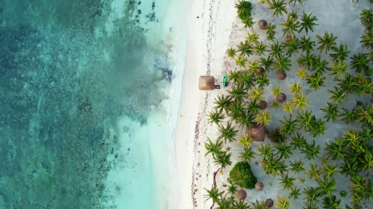 vista aérea de pájaro con drones de una hermosa playa tropical de vacaciones con agua azul cristalina, arena blanca, palmeras y una torre de kayak y salvavidas en riviera maya, méxico cerca de cancún