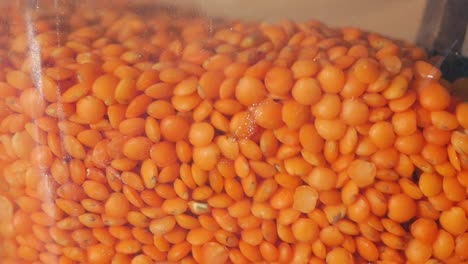 red lentils