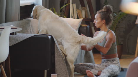 woman practicing yoga with her dog at home