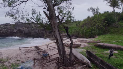 Drone-flies-around-dead-tree-at-Pantai-Mandorak-with-no-people,-aerial