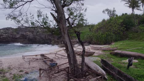 drone vuela alrededor de un árbol muerto en pantai mandorak sin gente, aérea
