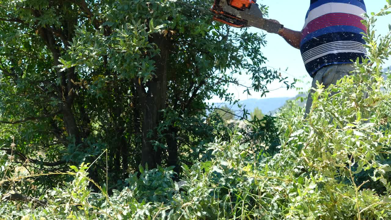 hombre cortando madera con sierra
