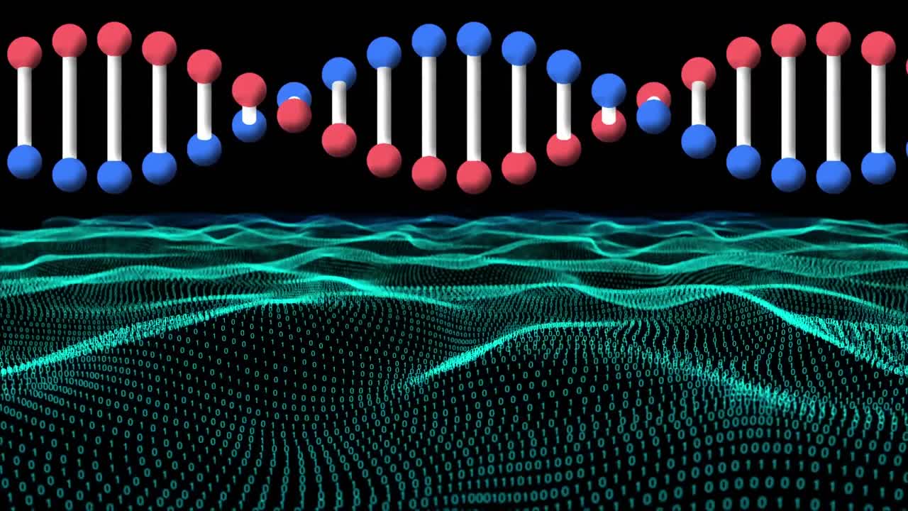 이진 코딩을 통한 dna 가닥의 애니메이션