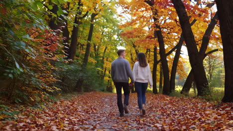 una pareja caminando de la mano en el parque de otoño.