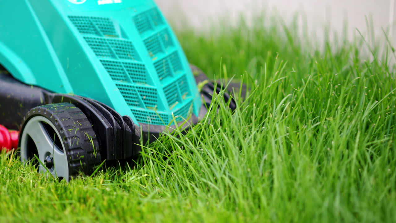 Close up of turquoise lawn mower machine cutting the grass