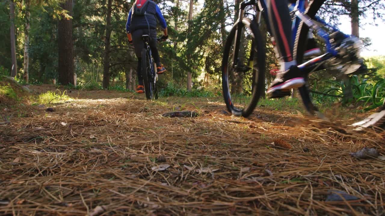 pareja de ciclismo de montaña montando en el bosque en un día soleado